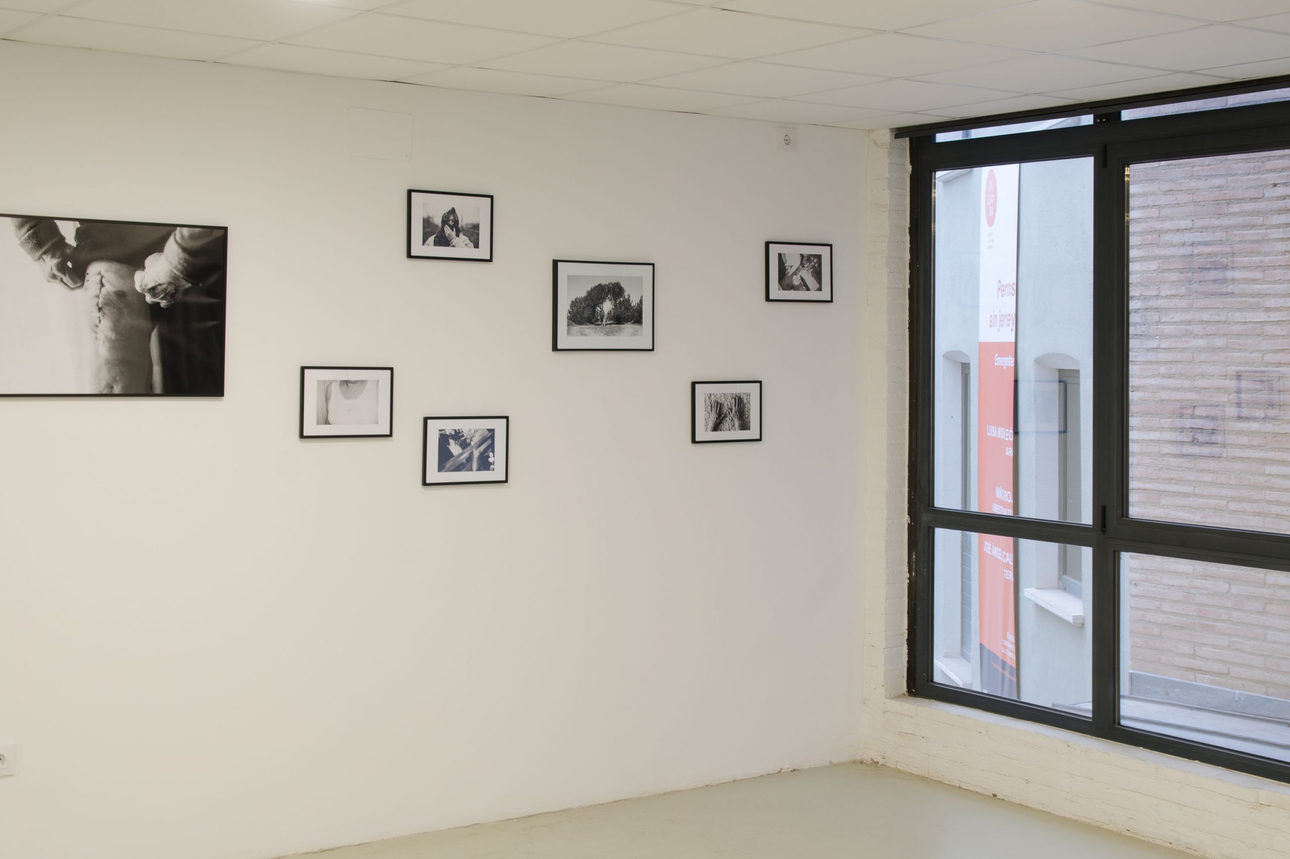 Perros sin jersey_Jose Angel Calve__DSC6212