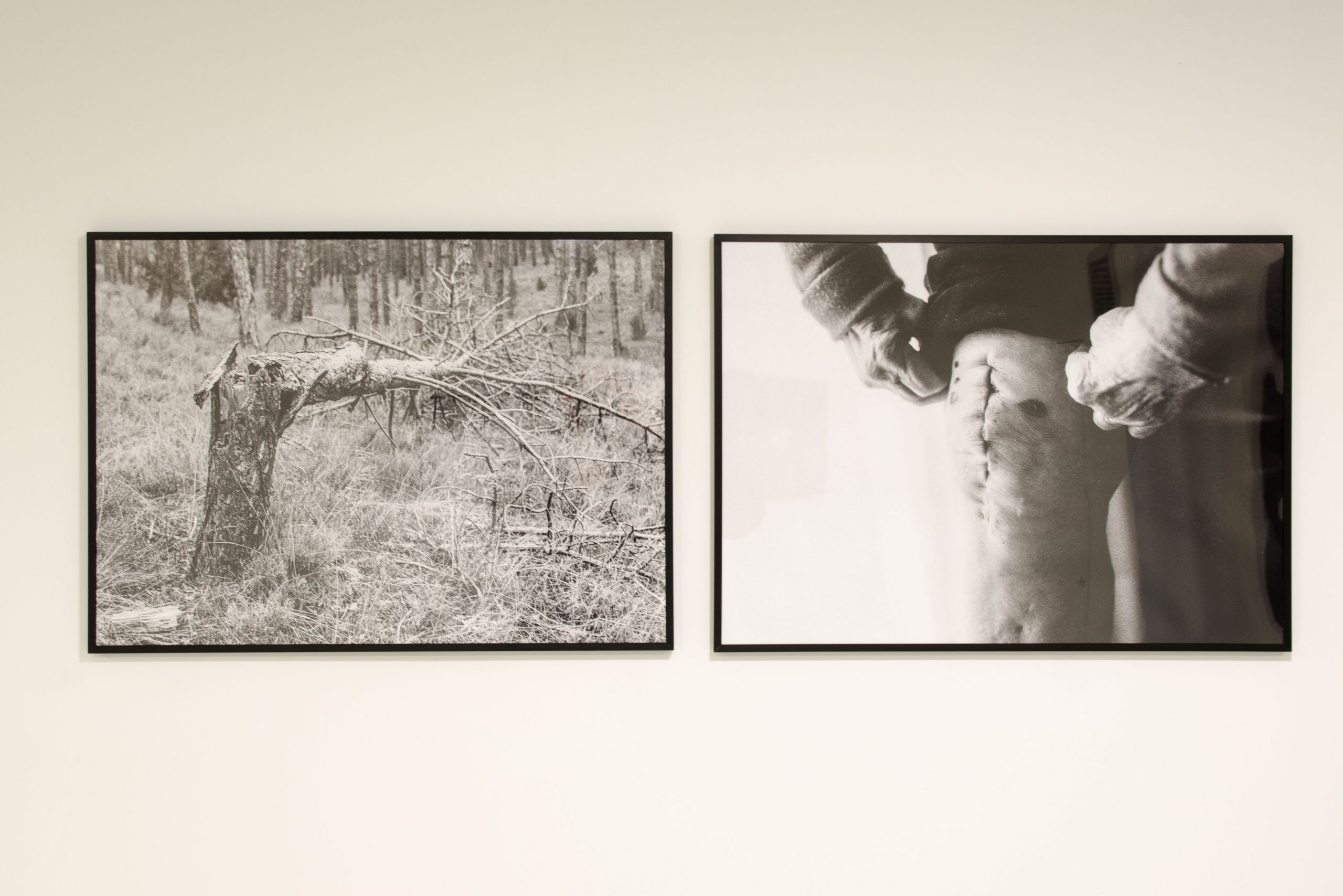 Perros sin jersey_Jose Angel Calve__DSC6214