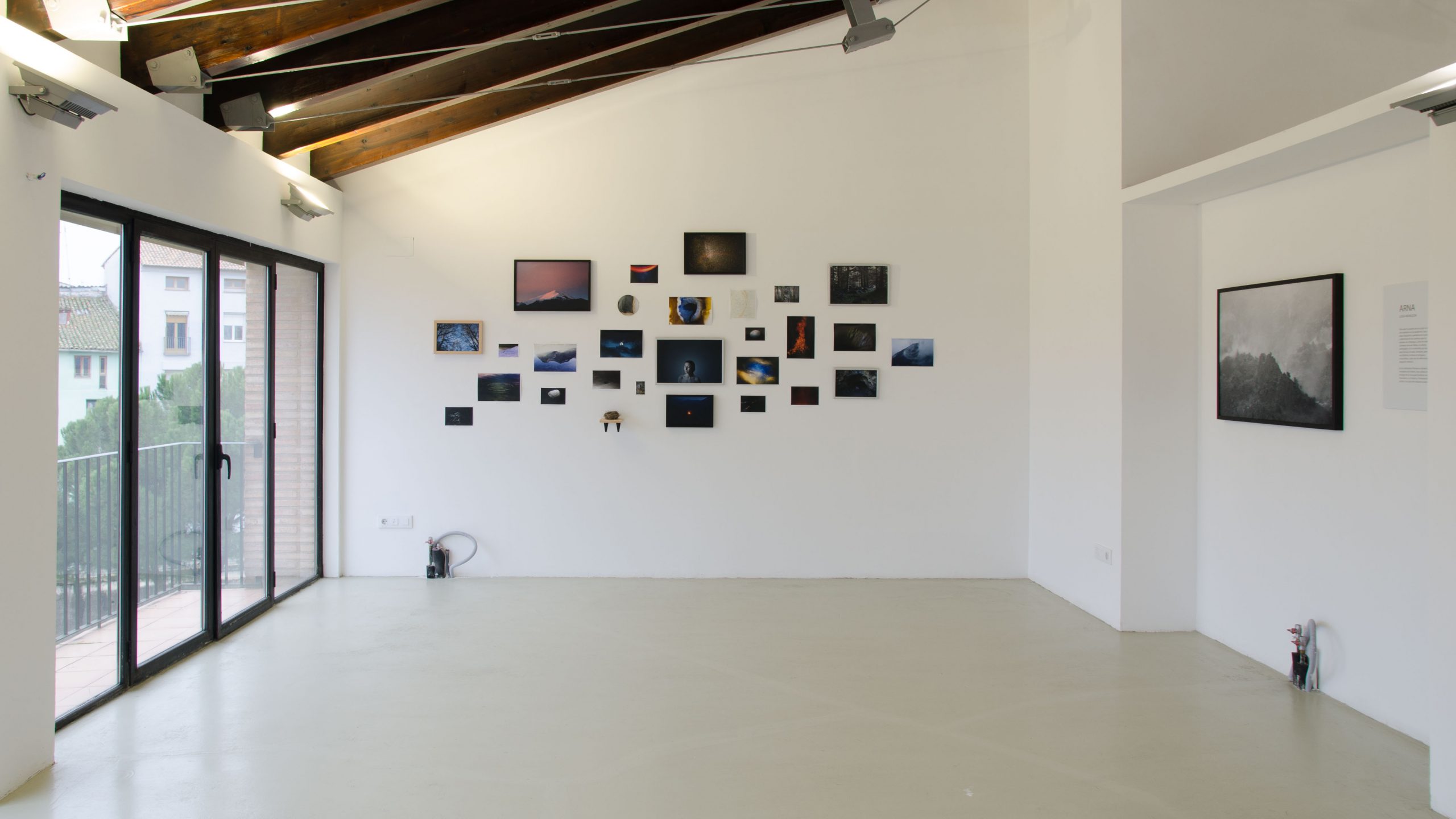 Perros sin jersey_Luisa Monleon__DSC6264