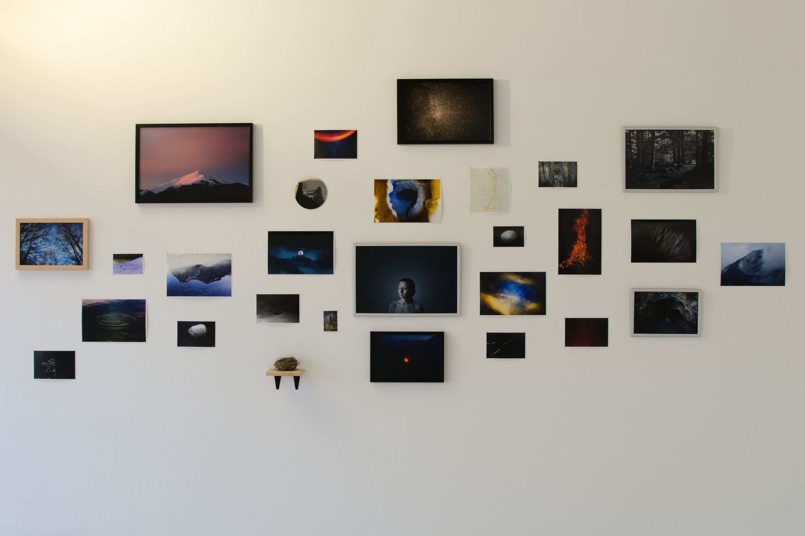 Perros sin jersey_Luisa Monleon__DSC6317