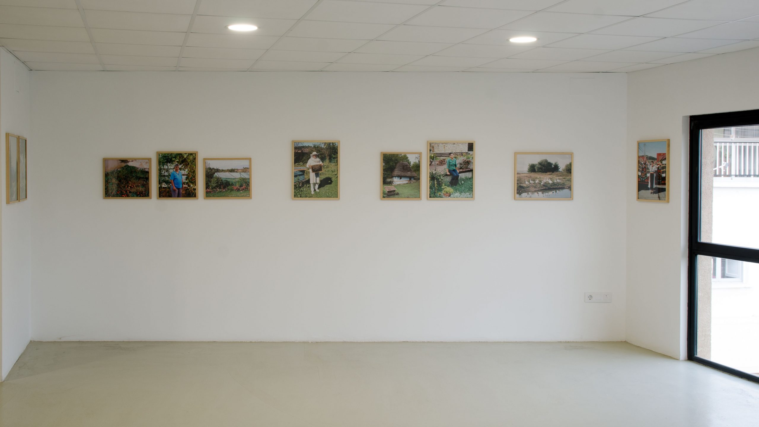 Perros sin jersey_Niño Rojo__DSC6292