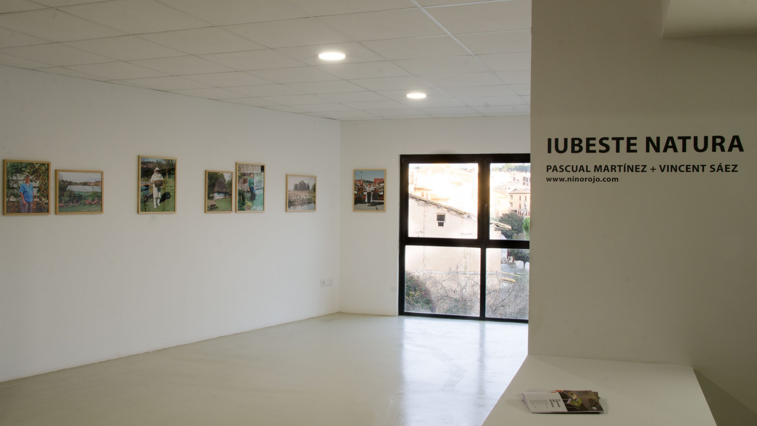 Perros sin jersey_Niño Rojo__DSC6297